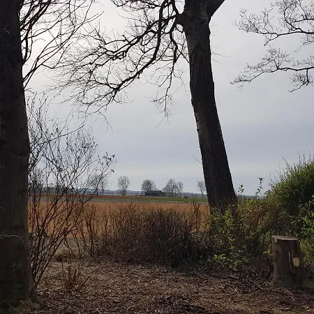 Near The Sea And South-facing Garden Holiday home *